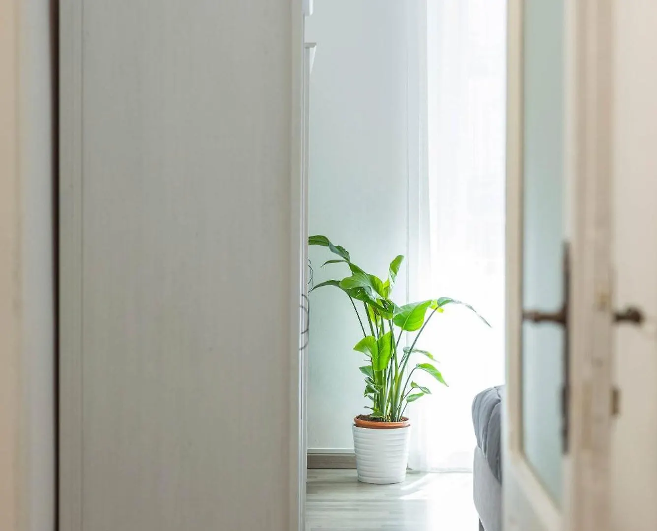 Sun House Apartment Bari 0*,