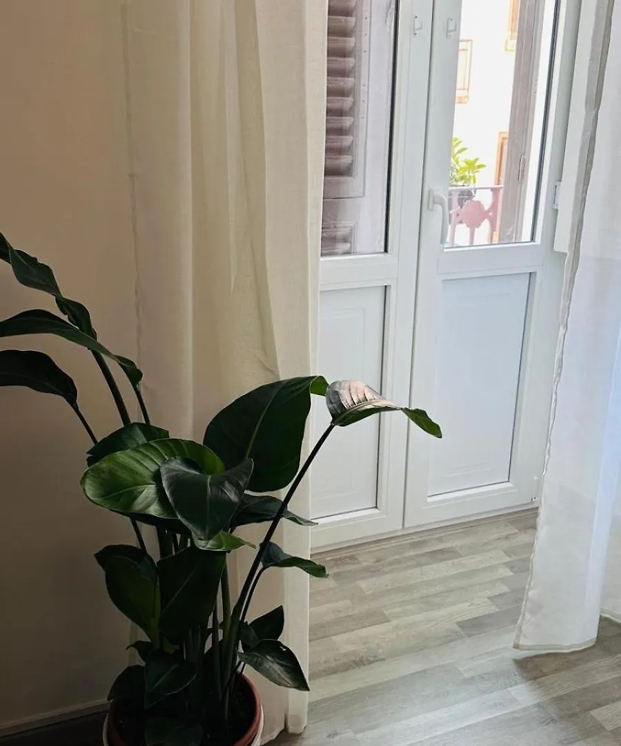 Sun House Apartment Bari 0*,